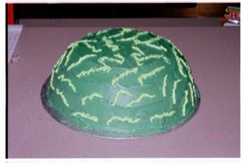 WaterMelon.jpg