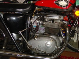 DSC01355.jpg